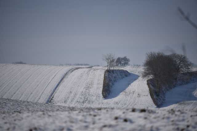 DSC_2948.JPG