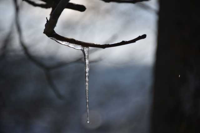DSC_2966.JPG