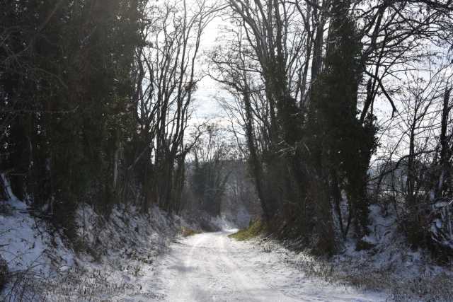 DSC_2969.JPG