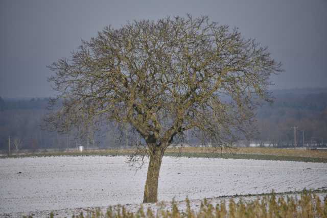 DSC_2972.JPG