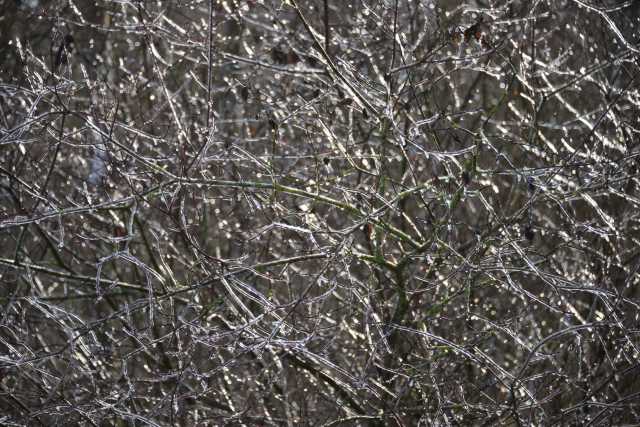 DSC_2977.JPG
