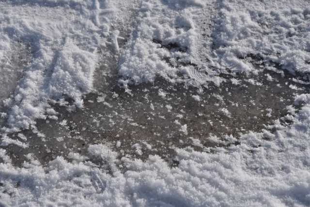 DSC_2991.JPG