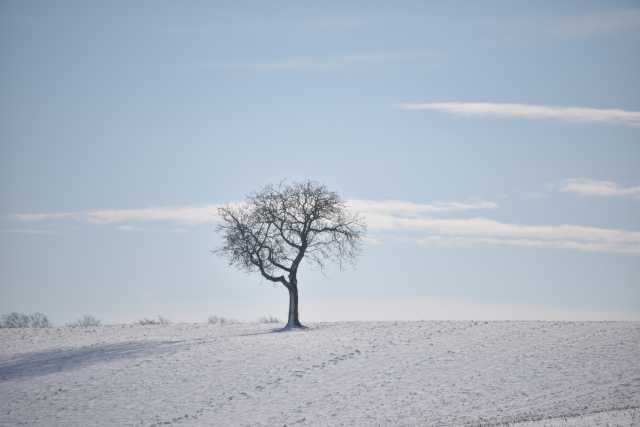 DSC_2993.JPG