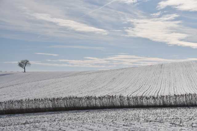 DSC_2995.JPG