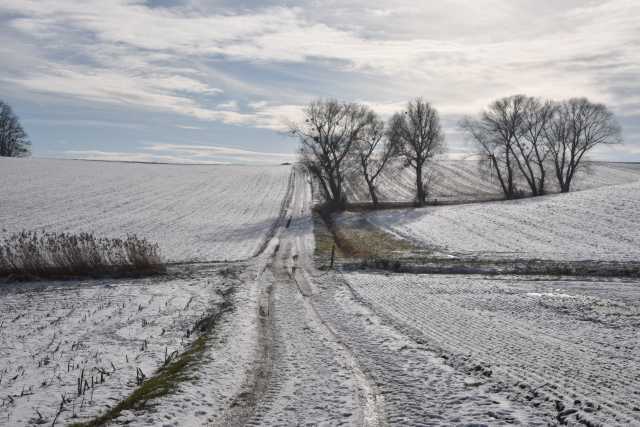 DSC_3000.JPG
