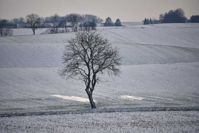 DSC_3003.JPG