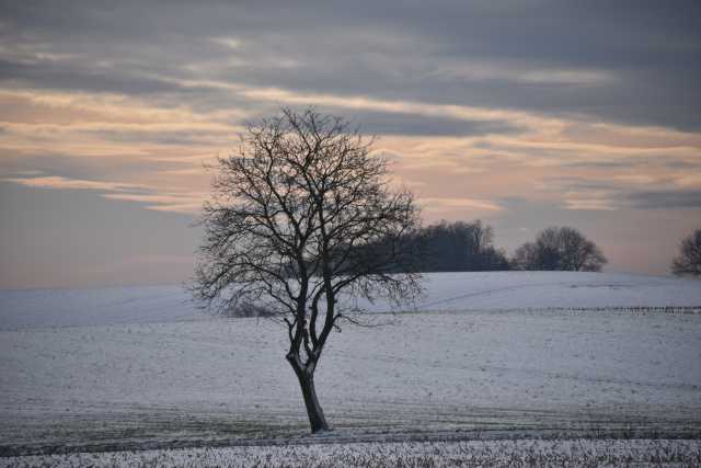 DSC_3005.JPG