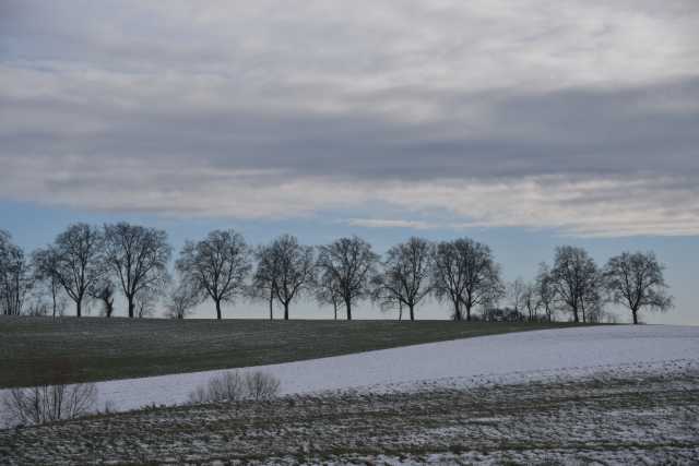 DSC_3013.JPG