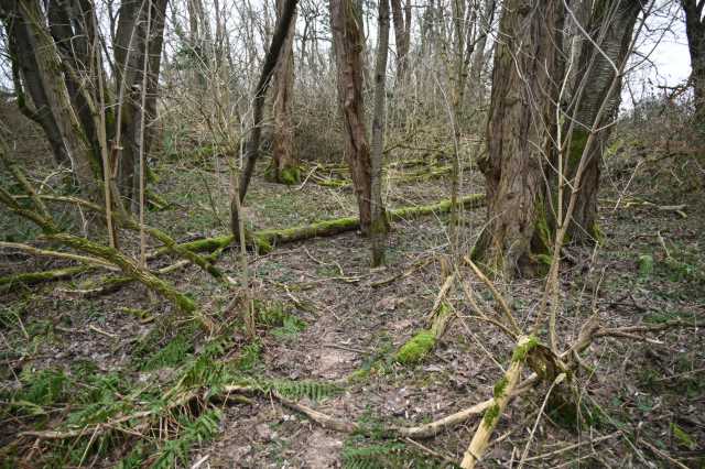 DSC_9546.JPG