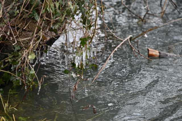 DSC_9555.JPG