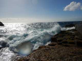 DSCN7566.JPG