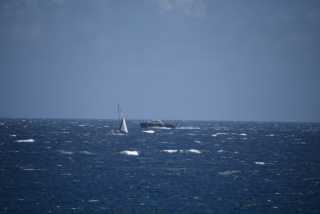 DSC_3120.JPG