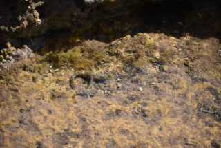 DSC_3141.JPG