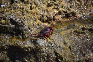 DSC_3232.JPG