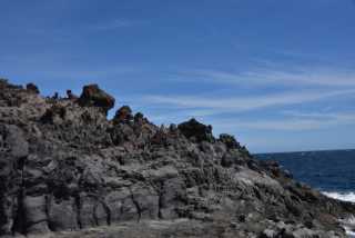 DSC_3243.JPG