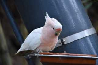 DSC_3585.JPG