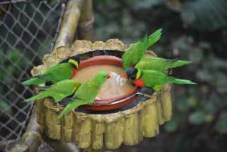 DSC_3595.JPG