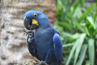 DSC_3614.JPG