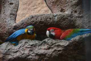DSC_3624.JPG