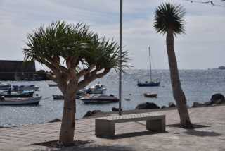 DSC_3802.JPG