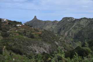 DSC_3819.JPG