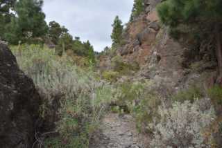 DSC_4097.JPG