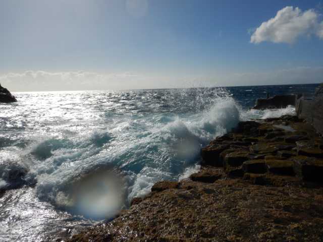 DSCN7566.JPG