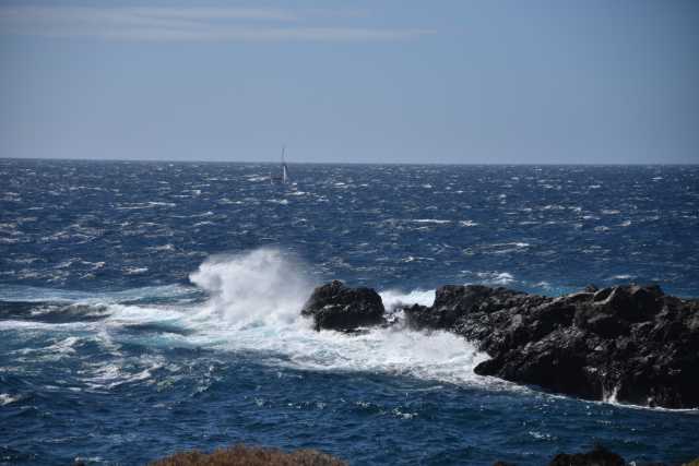 DSC_3075.JPG