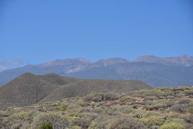 DSC_3104.JPG