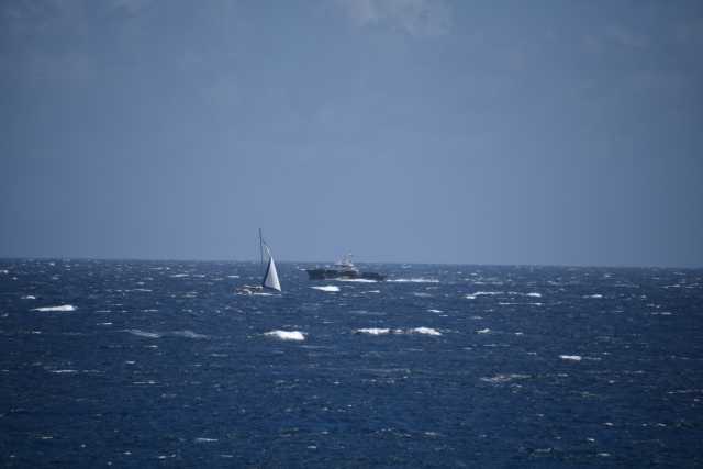 DSC_3120.JPG