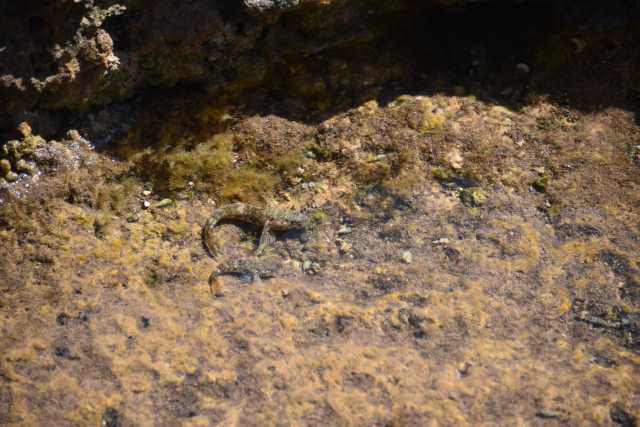 DSC_3141.JPG