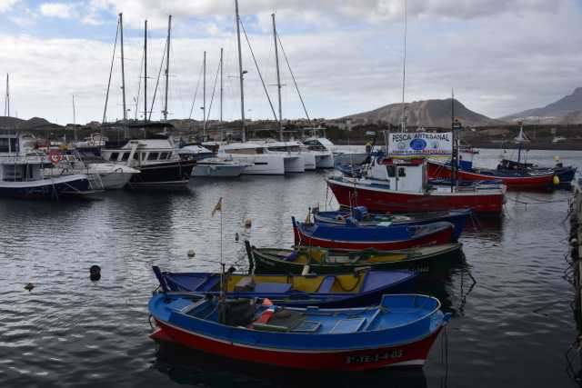 DSC_3319.JPG