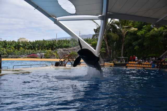 DSC_3333.JPG