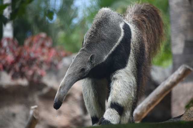 DSC_3409.JPG