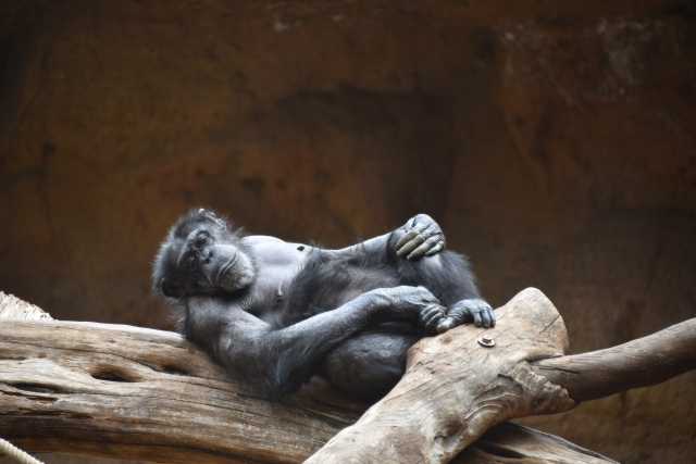 DSC_3414.JPG