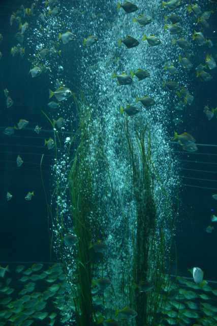 DSC_3551.JPG