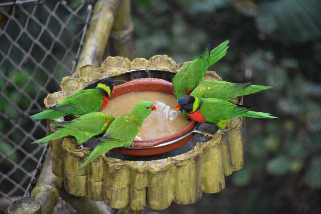 DSC_3595.JPG
