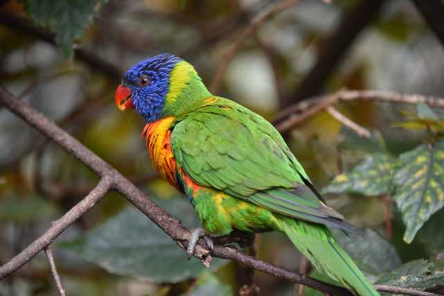 DSC_3608.JPG