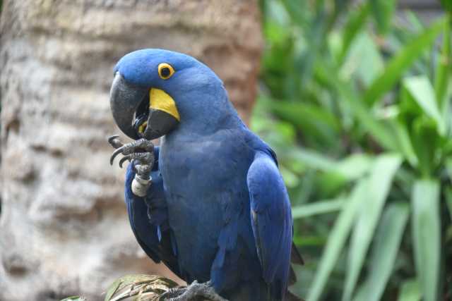 DSC_3614.JPG