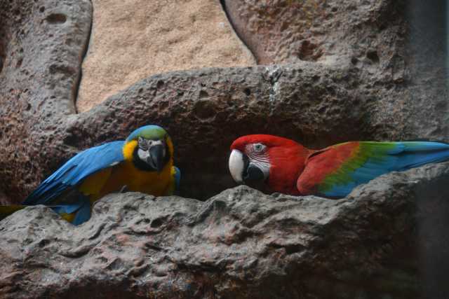 DSC_3624.JPG