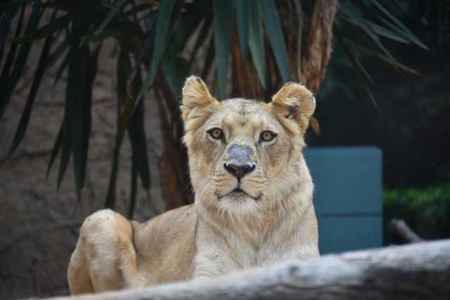 DSC_3644.JPG