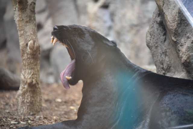 DSC_3680.JPG