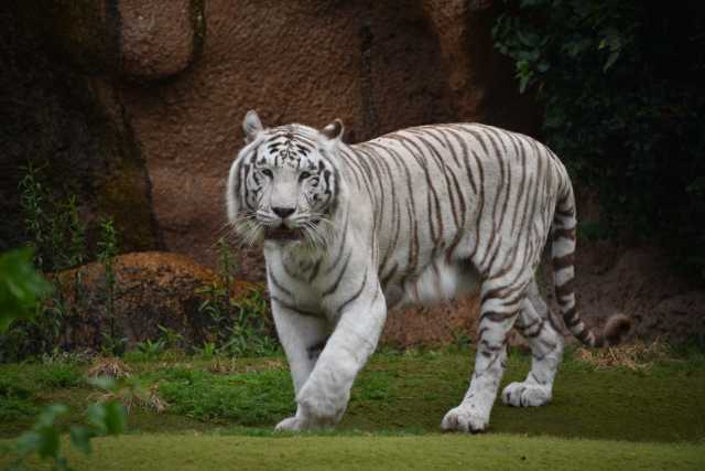 DSC_3695.JPG