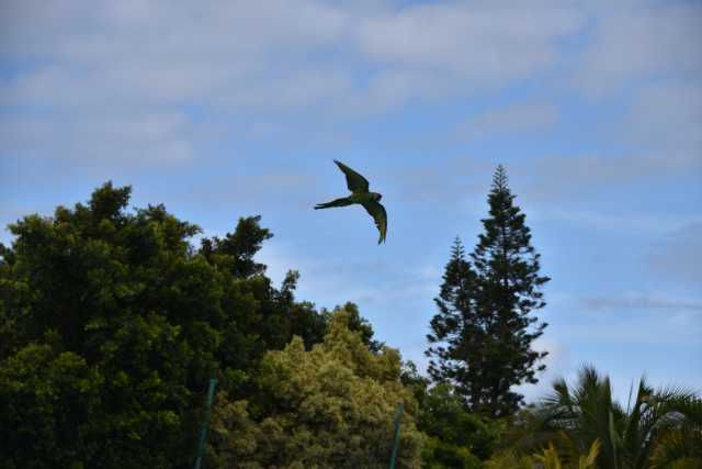 DSC_3718.JPG