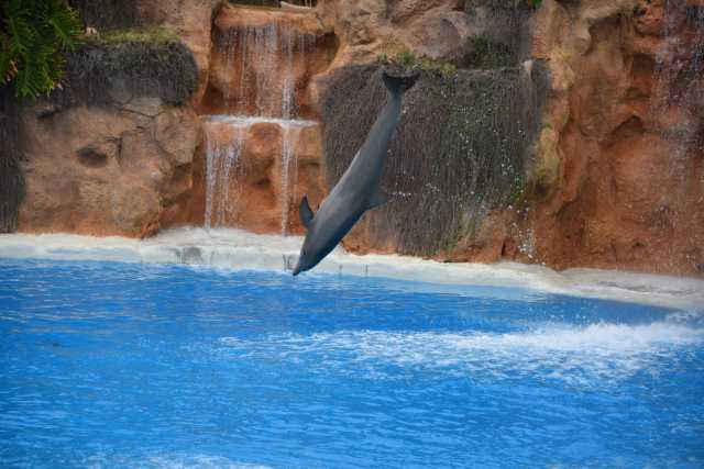 DSC_3729.JPG
