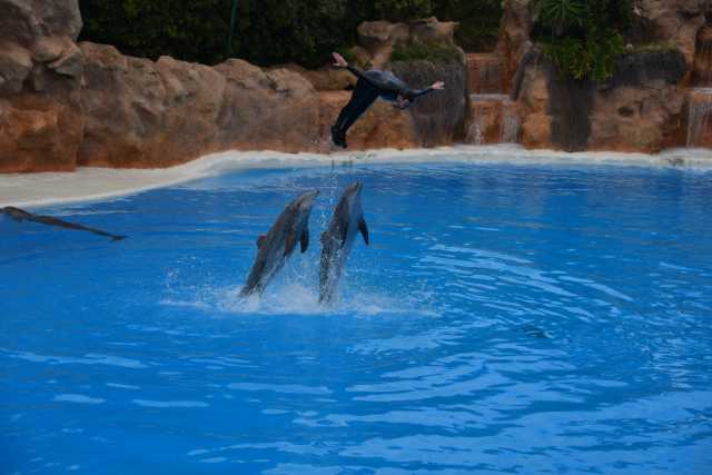 DSC_3731.JPG