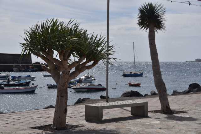DSC_3802.JPG