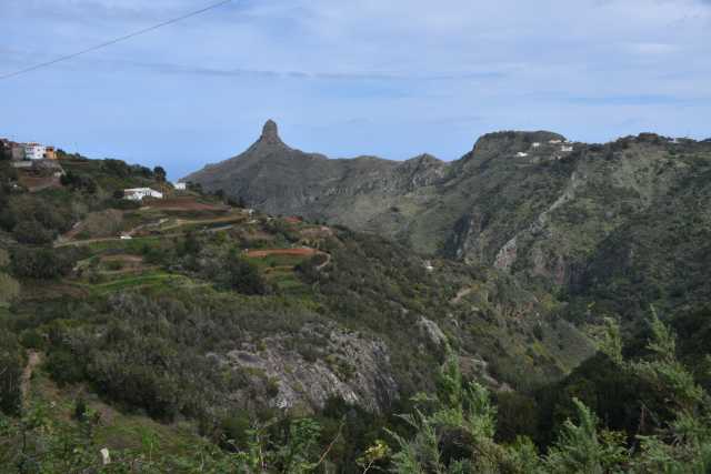 DSC_3819.JPG