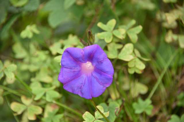 DSC_3911.JPG