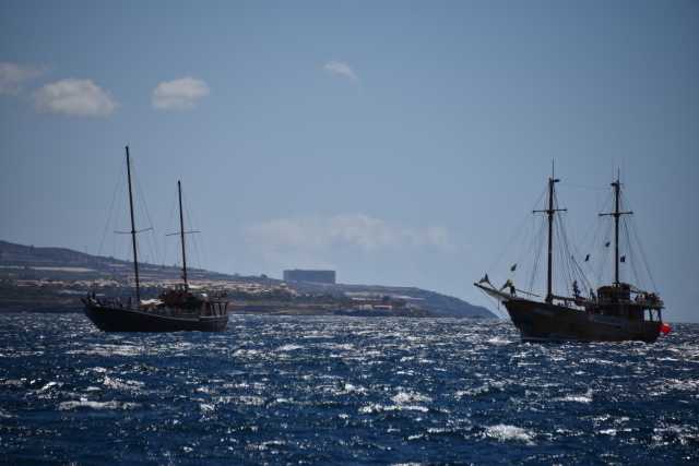 DSC_3982.JPG
